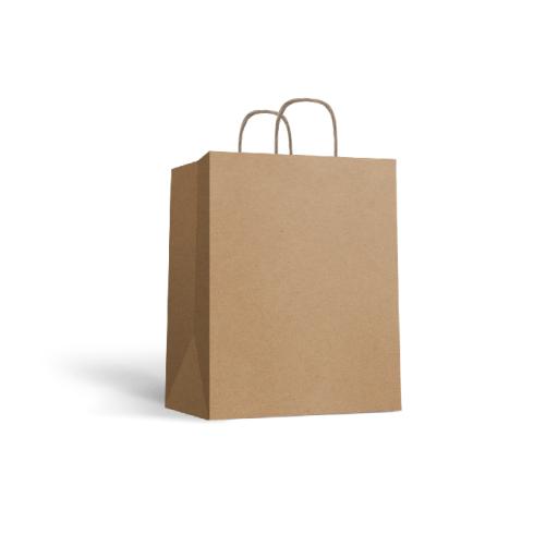 Kraft Paper Bag Brown 10pk