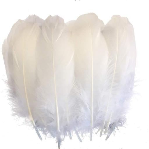 White Feathers Spray H.28Cm White