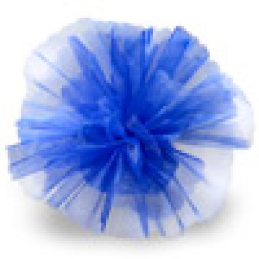 Crystal Net Scalloped Royal Blue