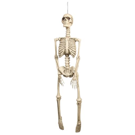 Skeleton 92cm