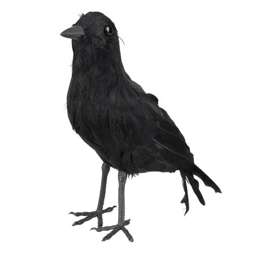 Black Crow 23x10cm