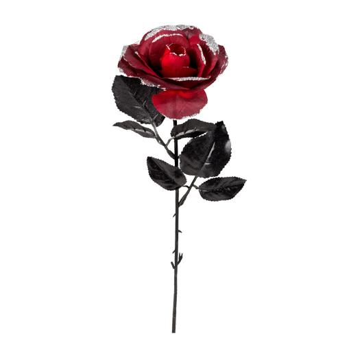 Flower Red rose