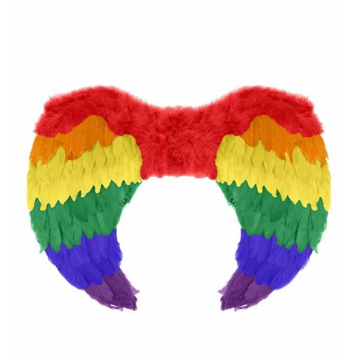 Adult Unisex Rainbow Feather Wings