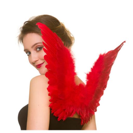 Feather Wings Red Small 36cm X 60cm