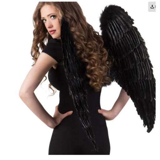 Angel wings black (87 x 72 cm)