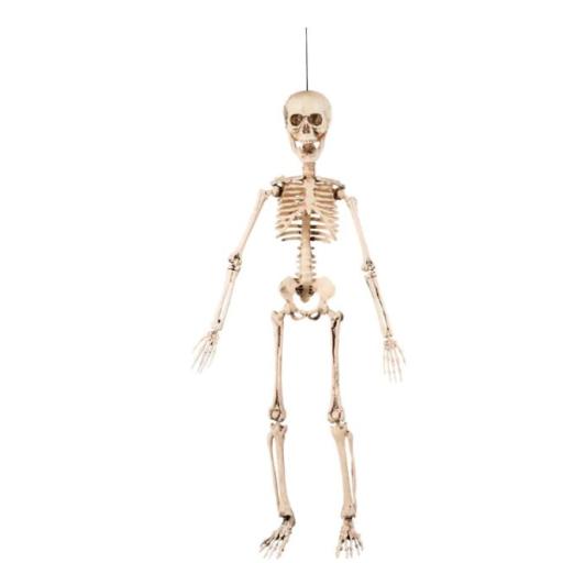 Decoration Movable skeleton (50 cm)